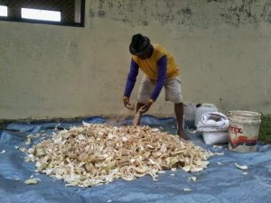 Fermentasi pakan ternak kambing  2