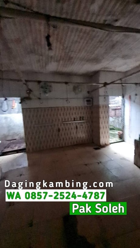 Kenapa Resto Membutuhkan Supplier Daging Kambing Lokal Terpercaya