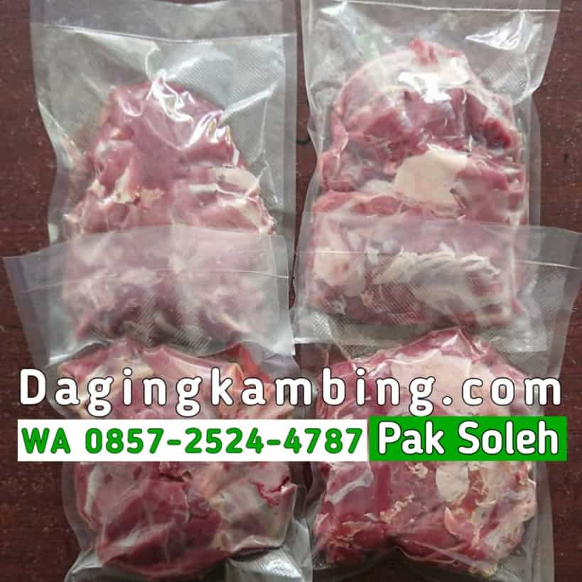 Standar Pemotongan dan Pendinginan Daging Kambing UD Soleh