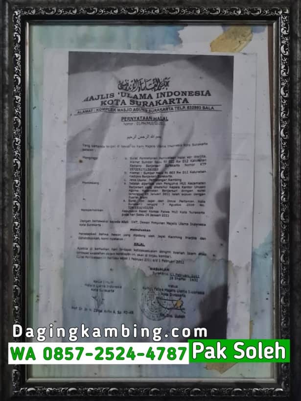 Apa Itu Sertifikat NKV dan Halal pada Daging Kambing Panduan Lengkap untuk Pembeli