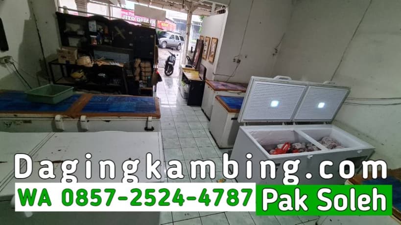 Berapa Margin Keuntungan Reseller Daging Kambing