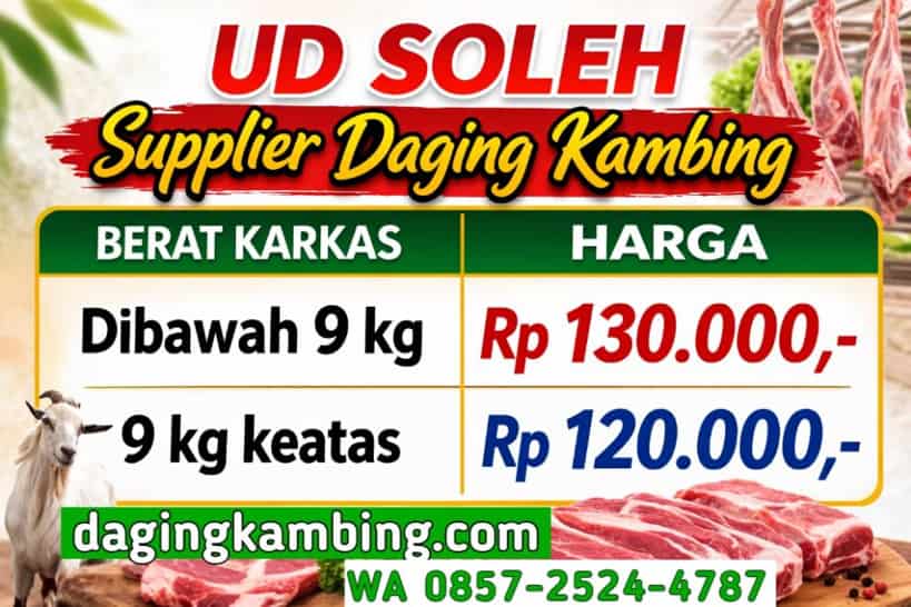 Harga Kambing Hidup vs Harga Karkas Kambing per Kg 2026 Selisih dan Cara Hitung