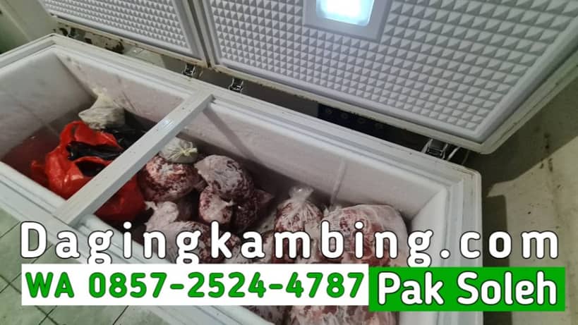 Jual Karkas Kambing Beku (Frozen) Utuh Tanpa Kepala Kaki