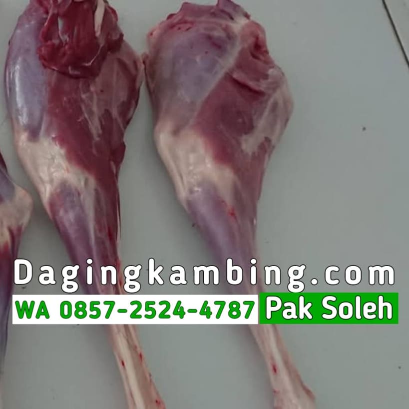 Kenapa Paha Kambing Belakang Jadi Pilihan Terbaik untuk Kambing Guling Supplier Profesional