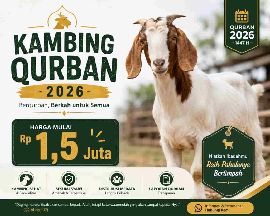 Beli Kambing Qurban Solo Lebih Tenang karena Bisa Pilih Langsung dan Sesuai Syariat